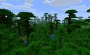 Minecraft-jungle-shot